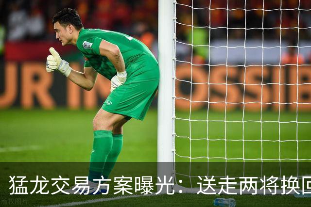猛龙交易方案曝光：送走两将换回旧将鲍威尔+篮网中锋